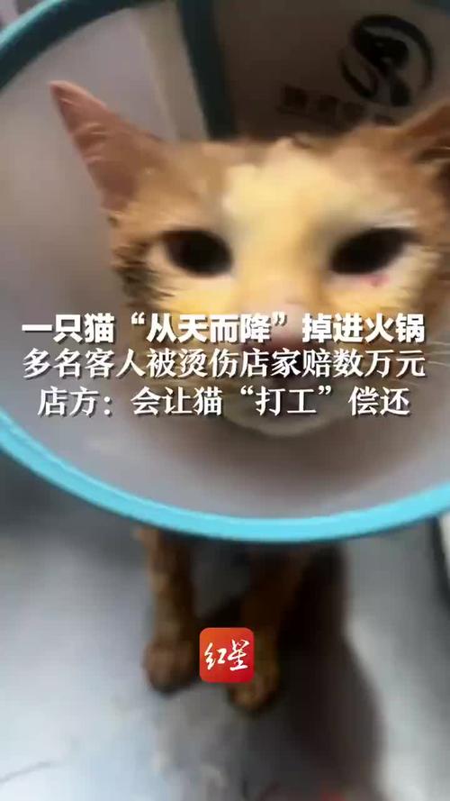 2025年5月 第52页
