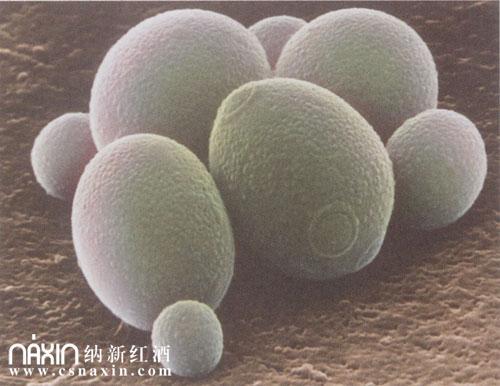 admin 第28页